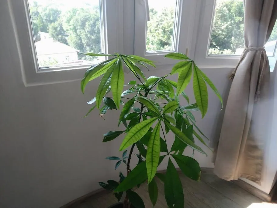 Cozy 2 Bedroom Apartment With Terrace Near The Beach And Park Varna 0*,  Bulgaria